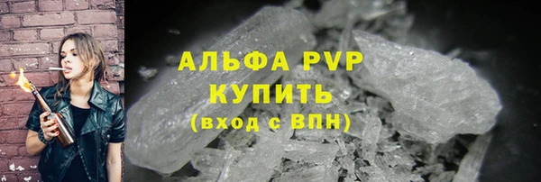 ешки Новодвинск