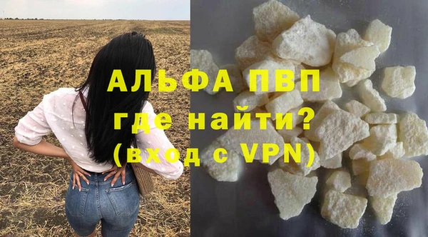 ешки Новодвинск