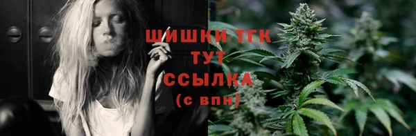 скорость Новозыбков