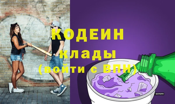 ешки Новодвинск