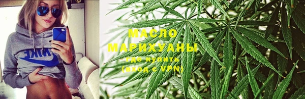 ешки Новодвинск