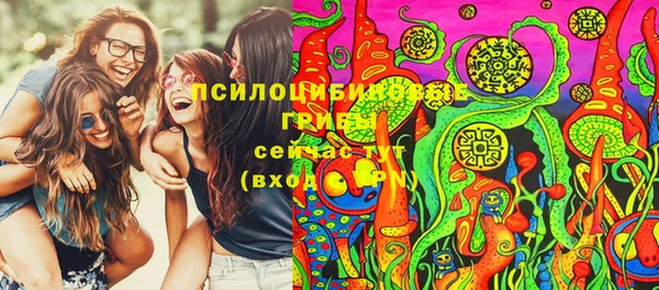 скорость Новозыбков