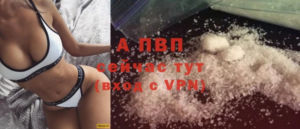 ешки Новодвинск