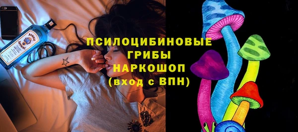 скорость Новозыбков