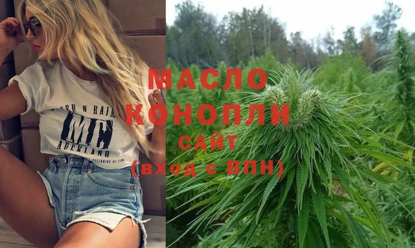 скорость Новозыбков