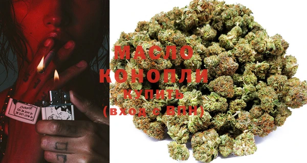 ешки Новодвинск