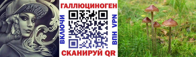 Галлюциногенные грибы ЛСД  Купить  Шебекино 